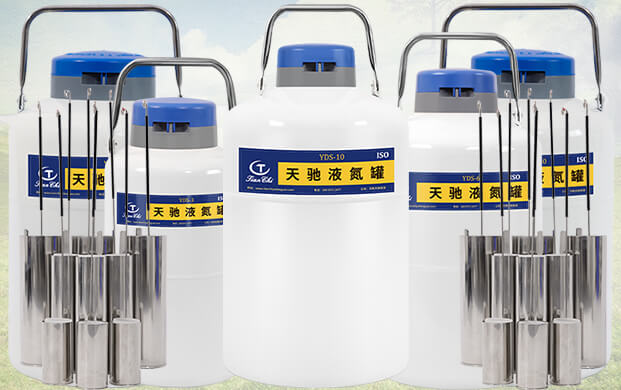 10升液氮罐能裝多少支凍精？