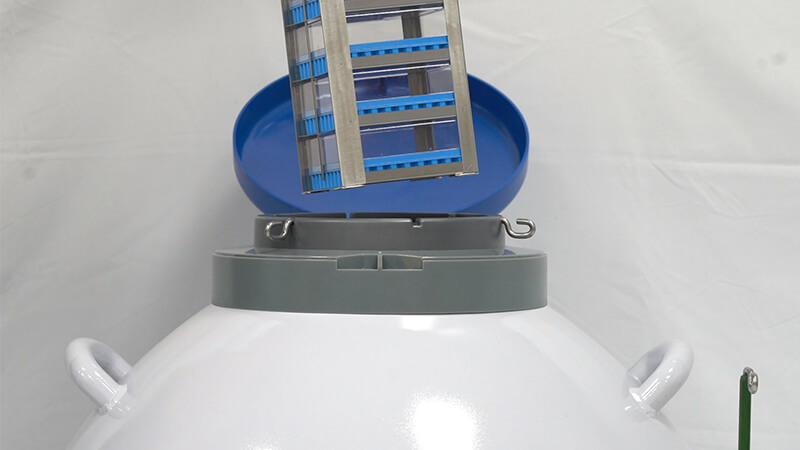 細(xì)菌可以?xún)鲈趯?shí)驗(yàn)室液氮罐里嗎