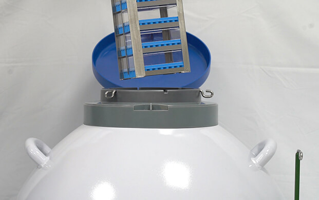 細(xì)菌可以凍在實(shí)驗(yàn)室液氮罐里嗎？