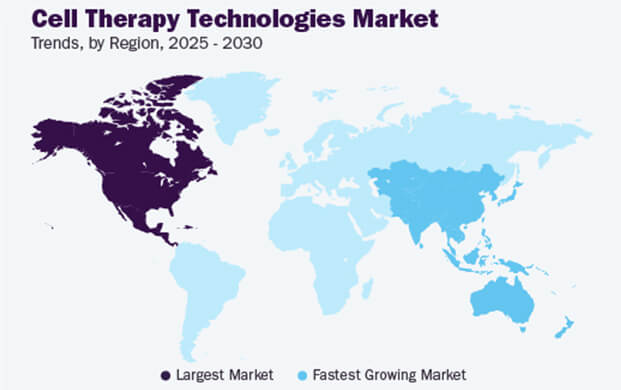 細(xì)胞治療技術(shù)市場(chǎng)增長(zhǎng)態(tài)勢(shì)強(qiáng)勁，實(shí)驗(yàn)室的液氮容器需求攀升
